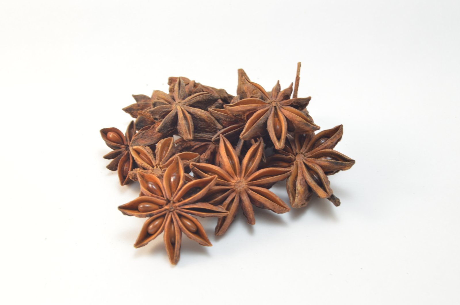 star anise seeds on white background with space for text