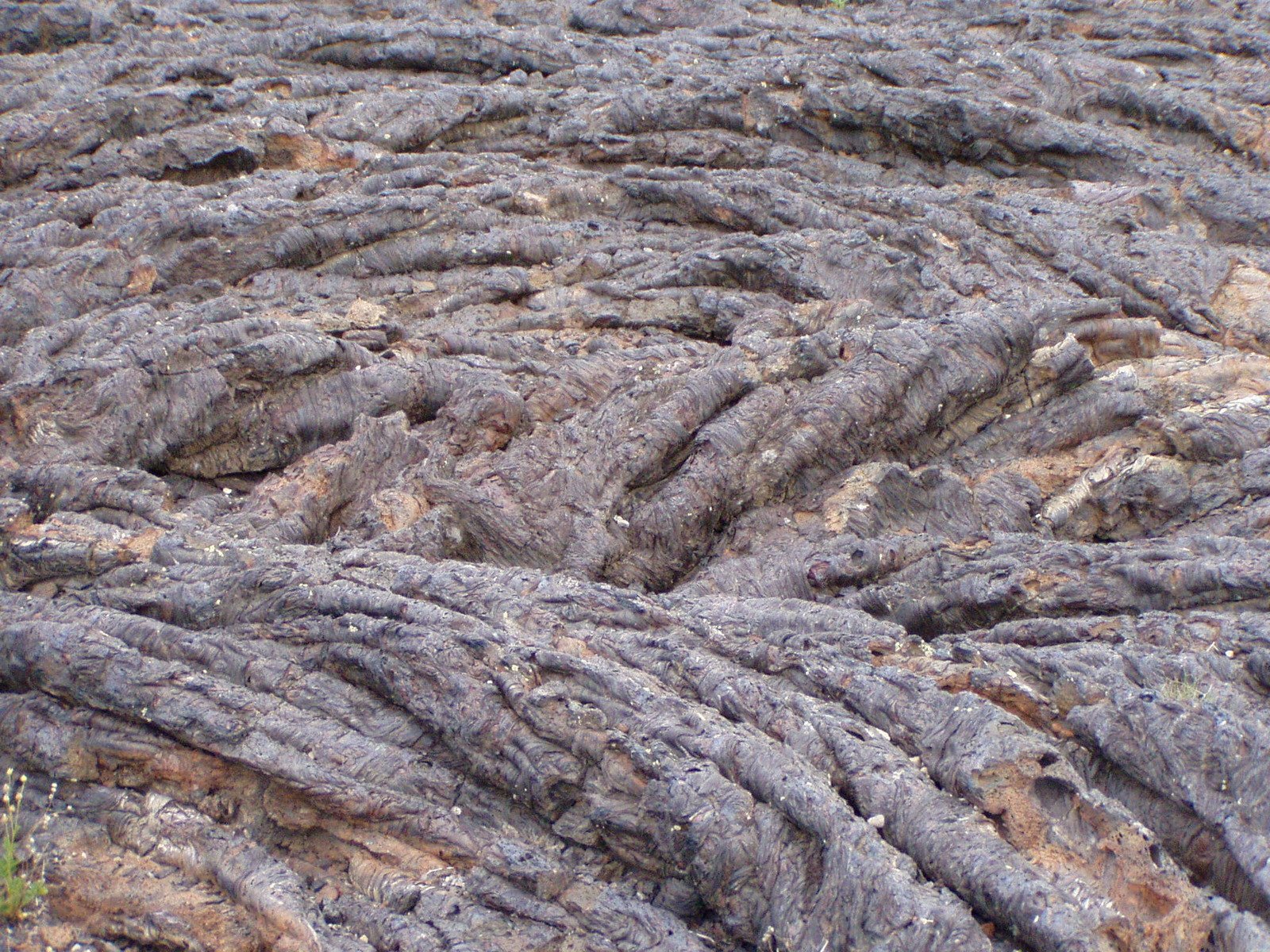 the soil in the ground has many large patterns