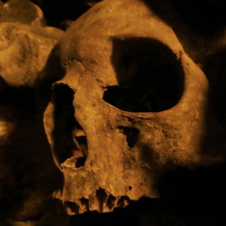 the face of an ancient human skull in dark lighting