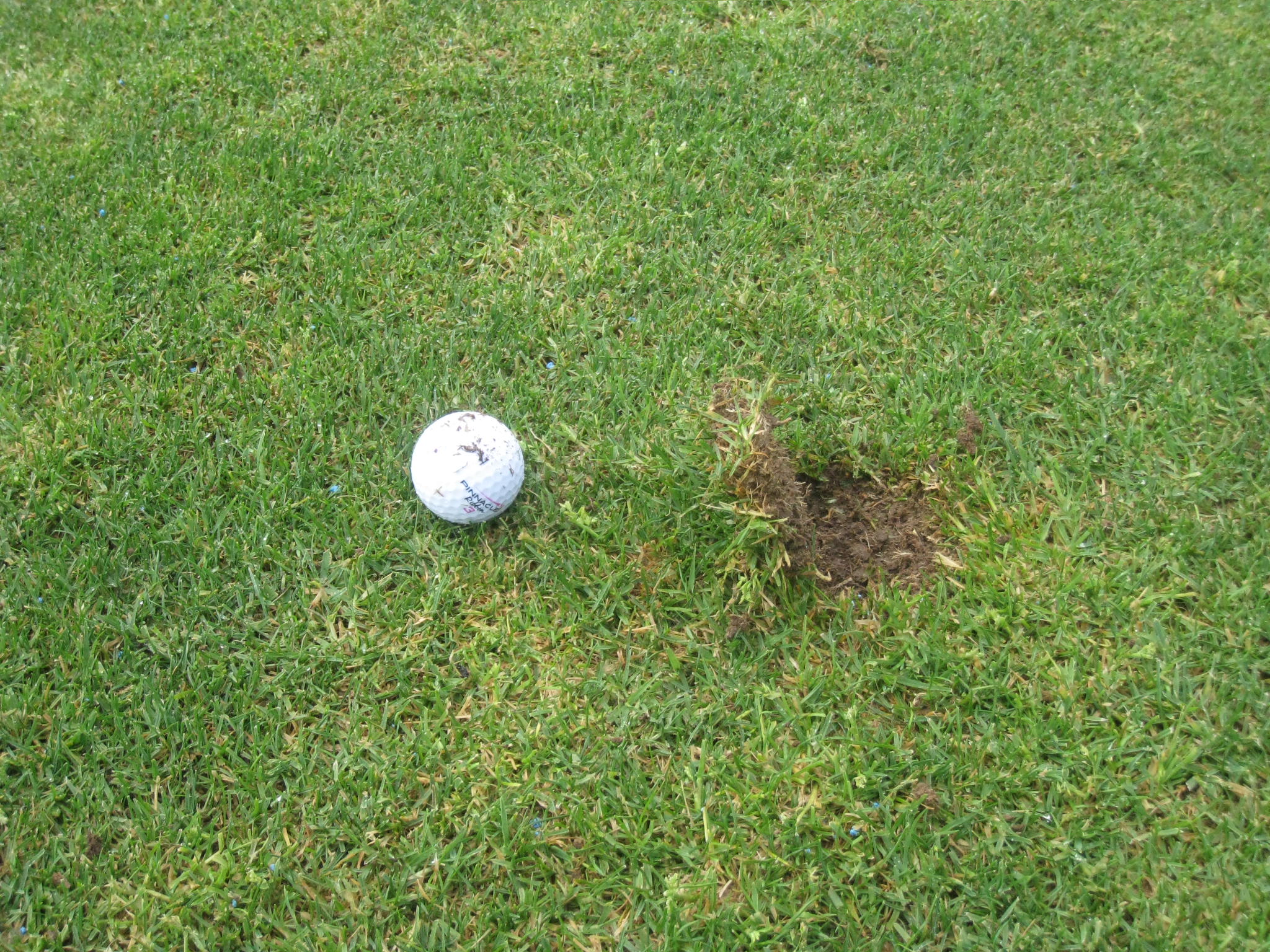 a white golf ball in the grass next to a hole