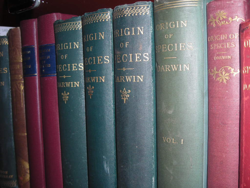 a row of books that are sitting on a shelf