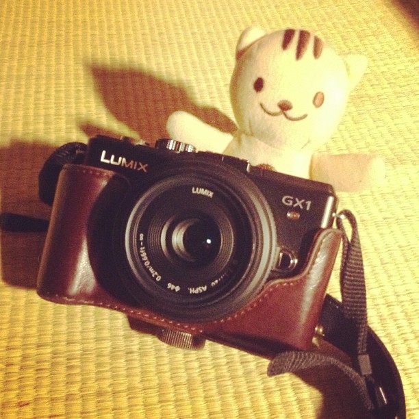 a camera with a little bear behind it