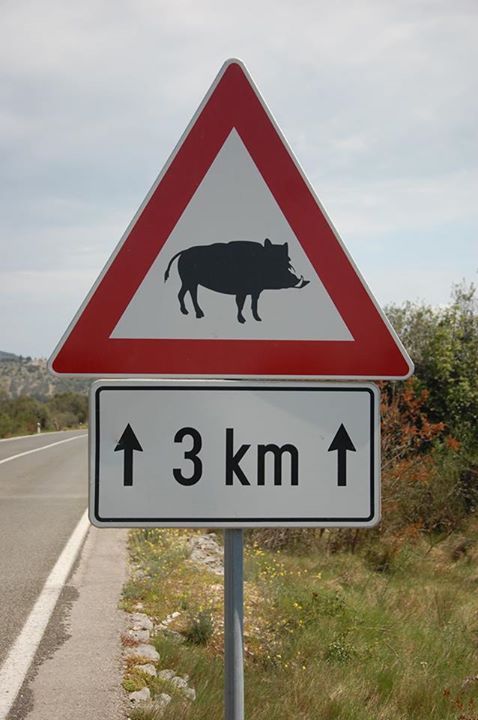 an image of a sign that warns it is forbidden for animals to pass