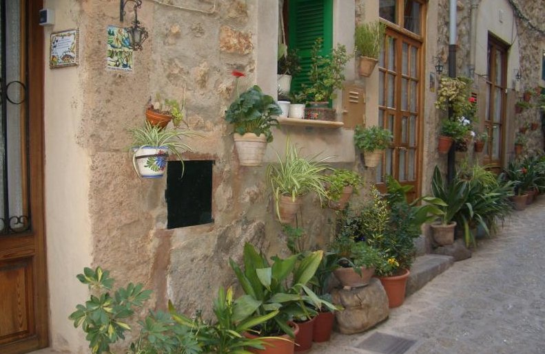 several house plants line the sidewalk of this old town