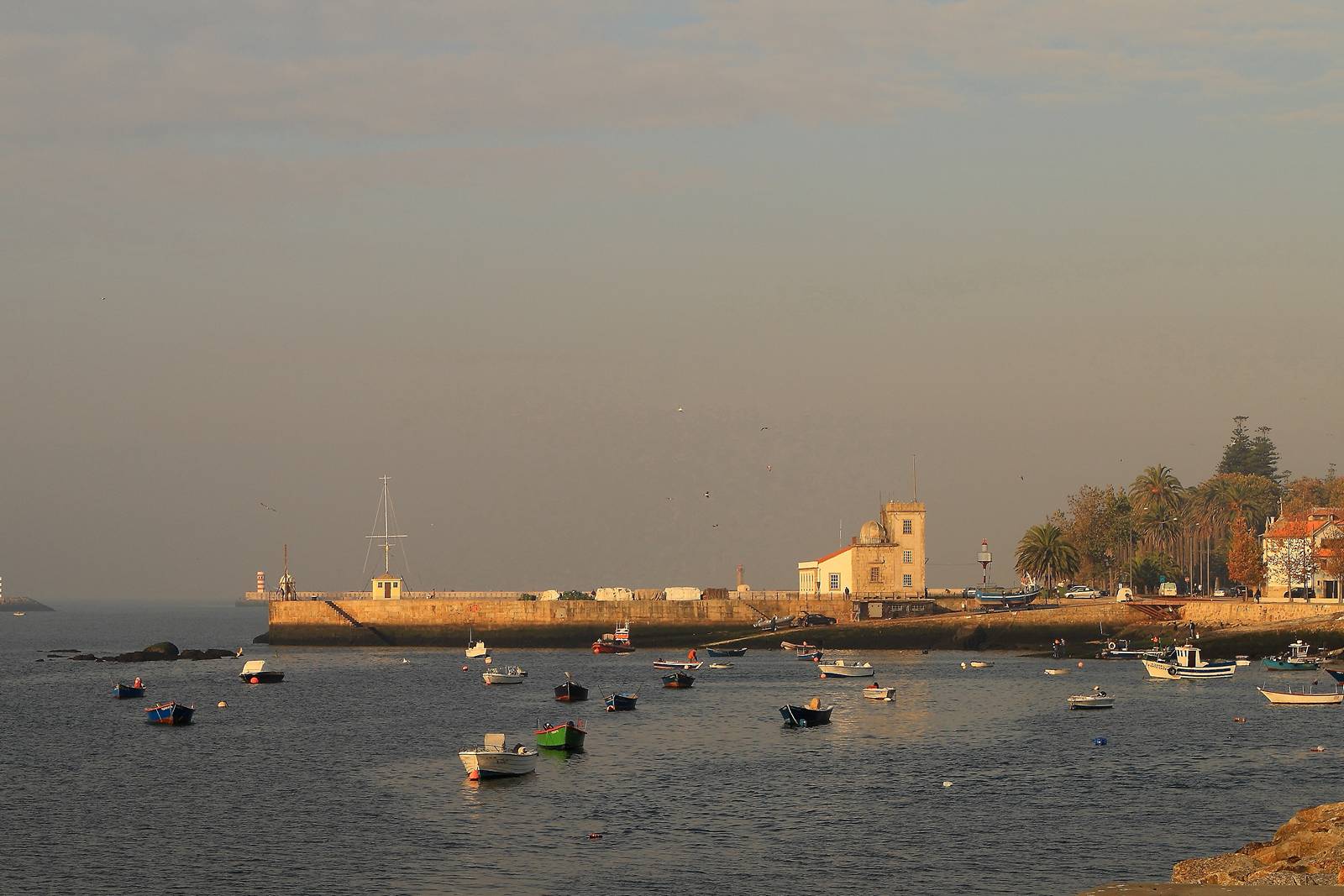 a harbor has several small boats out on the water