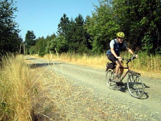 a bicyclist rides down a dirt road near tall grass