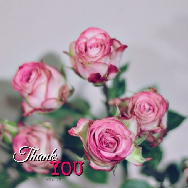 a bunch of pink roses in a vase with the words thank you