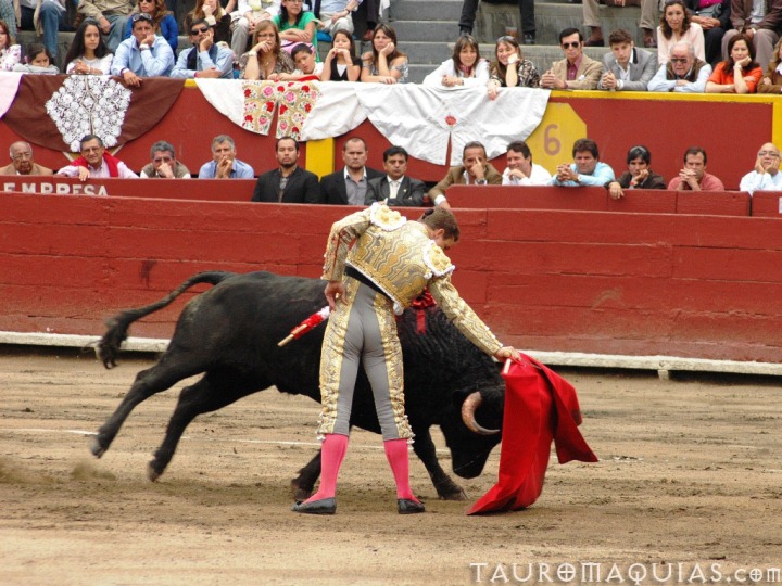 a bullfighter trying to wrestle a bull inside