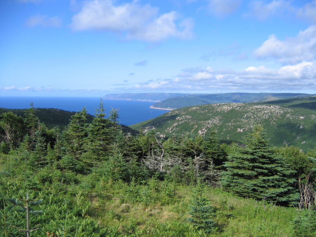 a green mountain surrounded by trees and some water