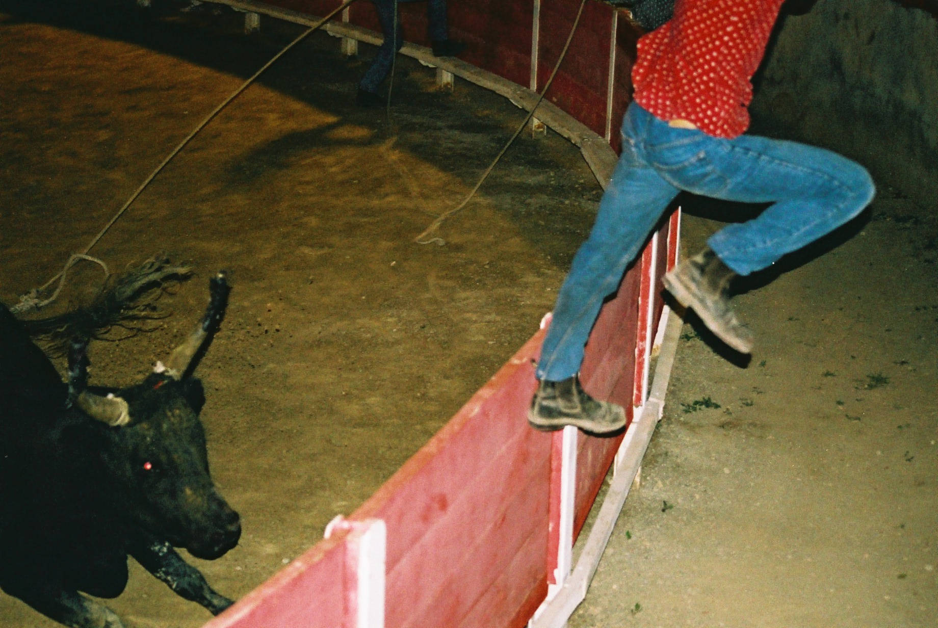 a man on top of a bull that is being chased
