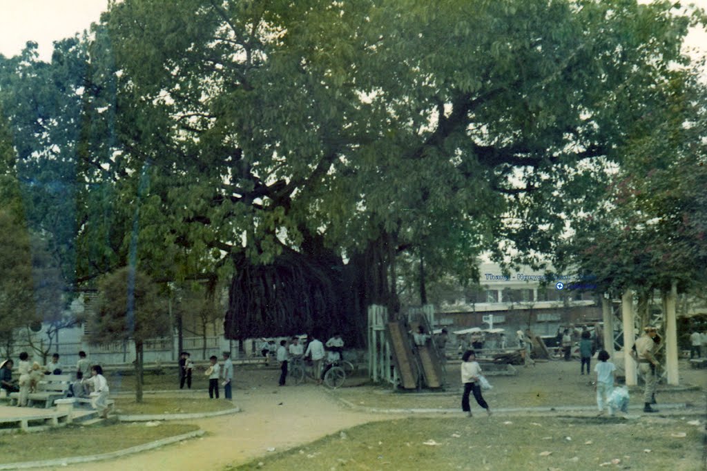 children playing ball in an empty park