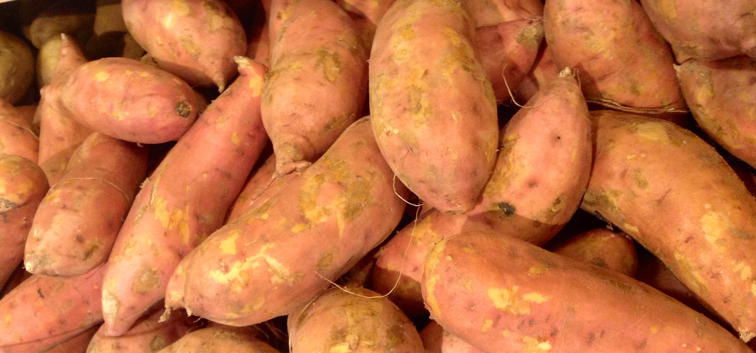 a pile of sweet potatoes sits piled high
