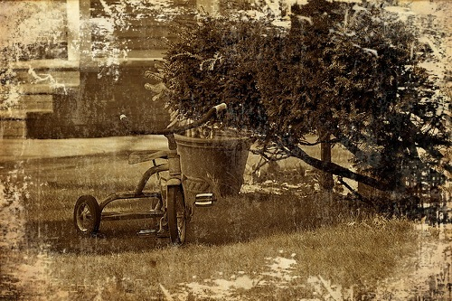 an old fashioned pograph of a cart, a large tree, and a bird sitting on the top