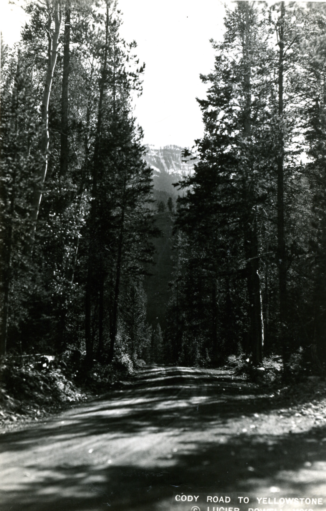 the road is deserted and empty in the woods