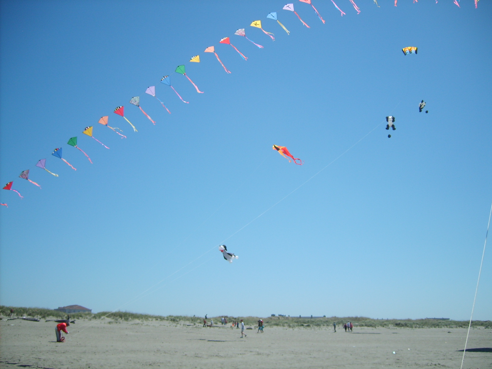 people in the sand flying colorful kites on a sunny day
