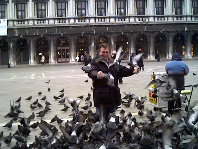 there are many birds standing near a man