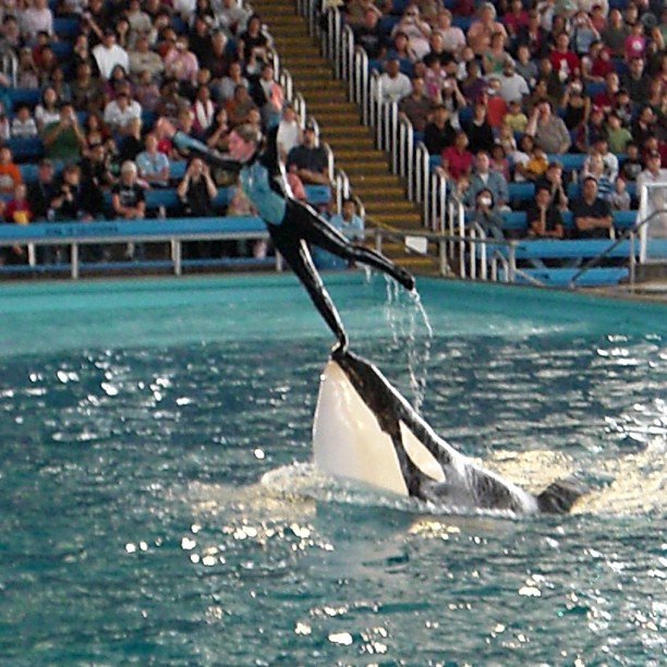a man is riding a trainer in a water world
