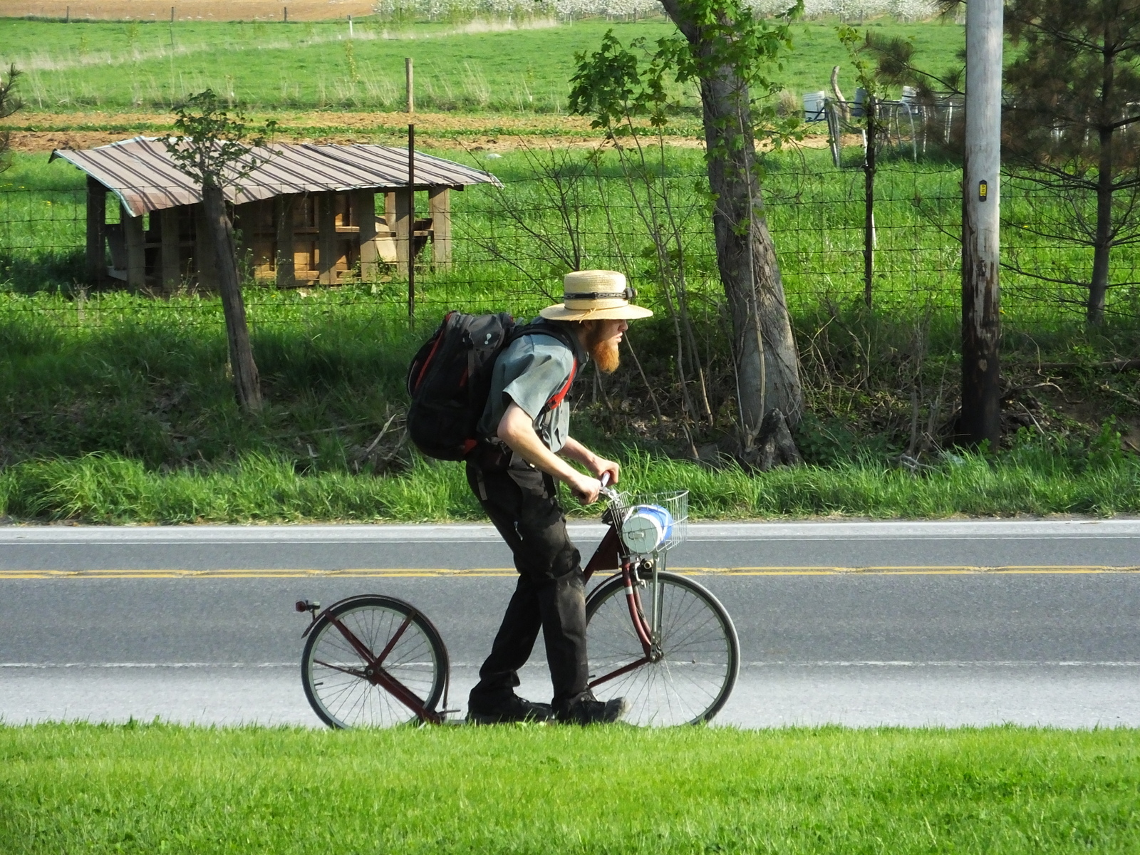 a man with a bicycle is walking down the grass