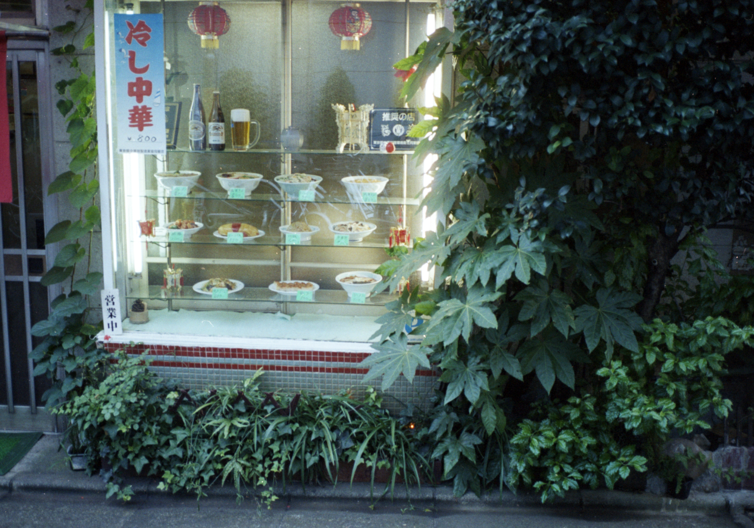 a shop display case next to a green shrub