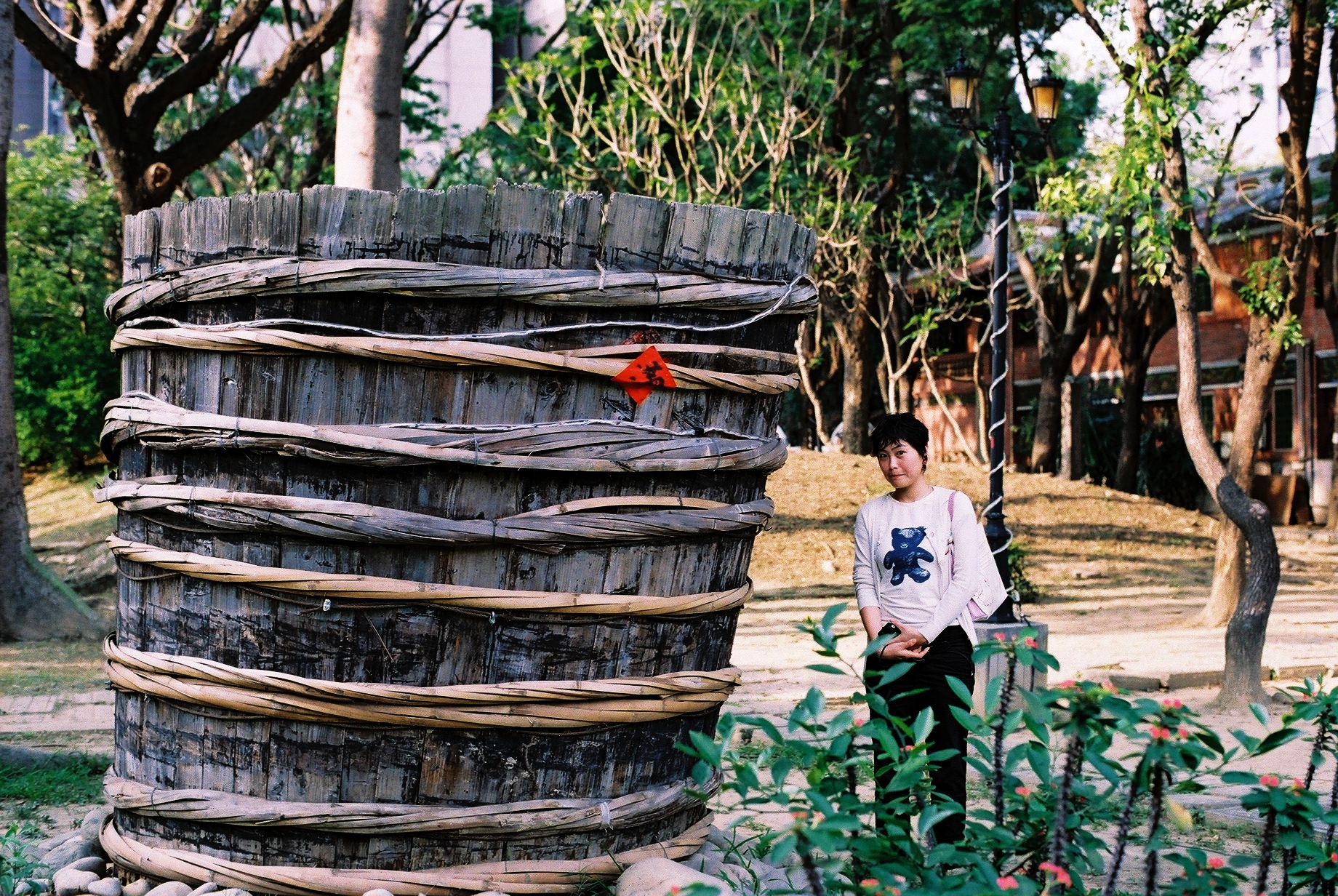 a boy standing next to a pile of nches