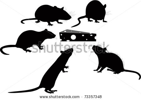 rat cliparti on white background