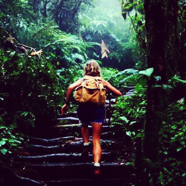 woman hiking up steep wooden steps through tropical rainforest