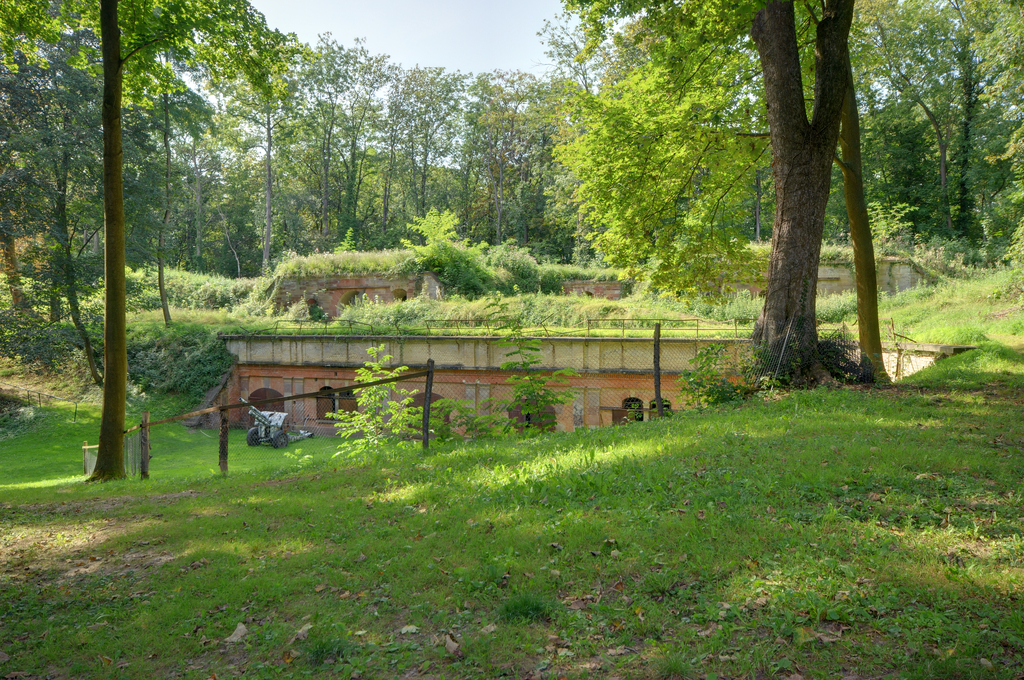 this is a lush green area with trees