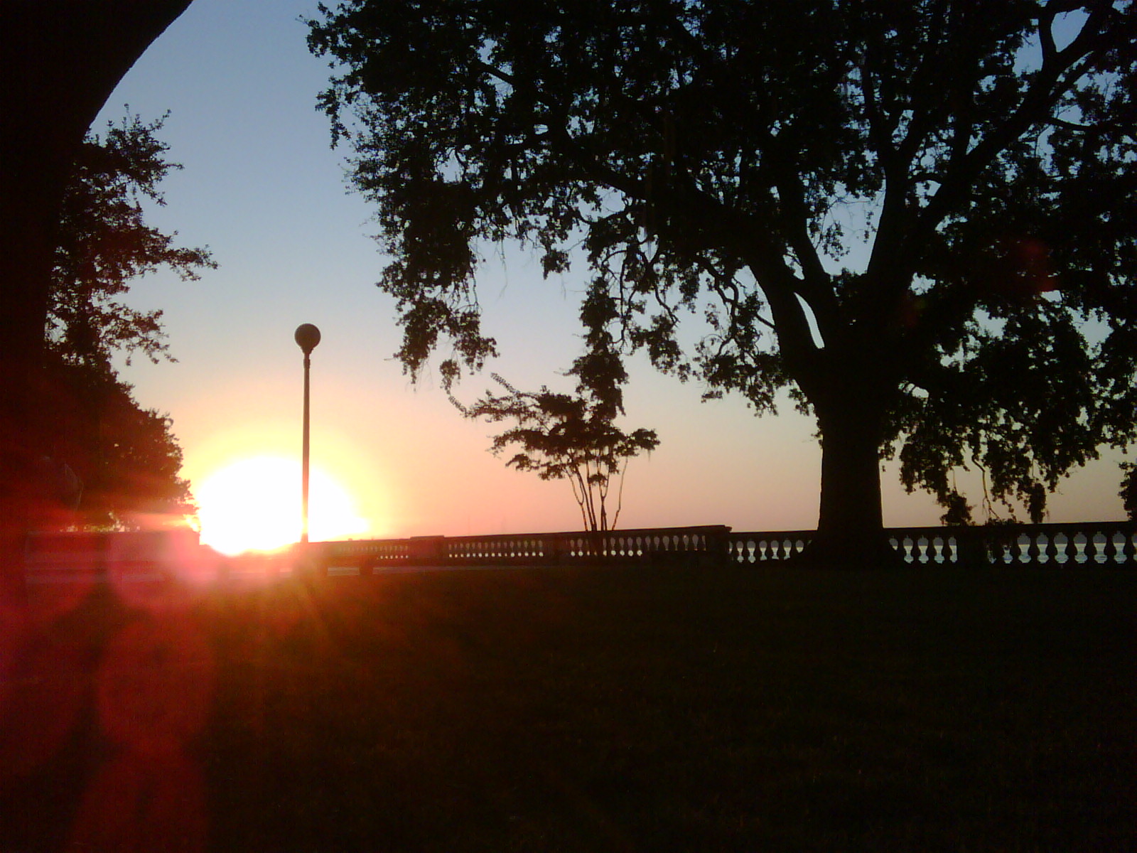 the sun is setting in the sky behind a tree