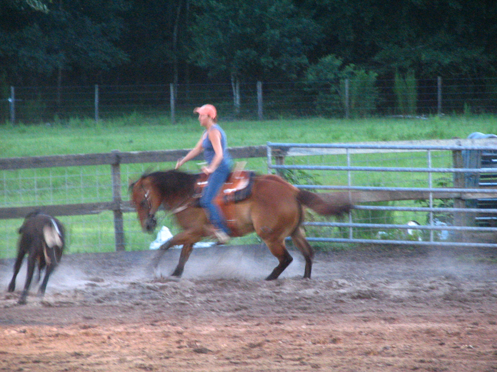 a woman riding on the back of a horse