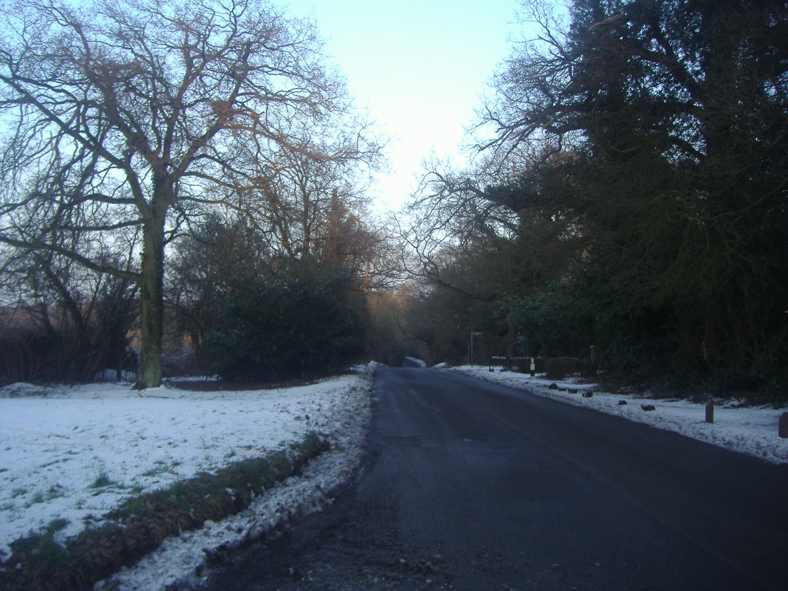 a snow covered street in a residential area