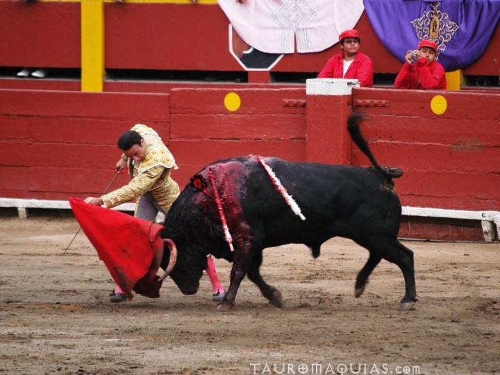 an matano and a bull in a bulls arena