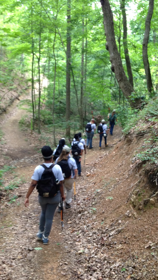 people are walking up a steep hill in the woods