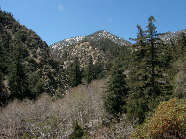 trees and rocks in the mountains near the trail