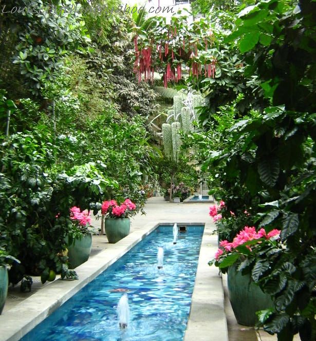 a garden is decorated with green plants and potted plants