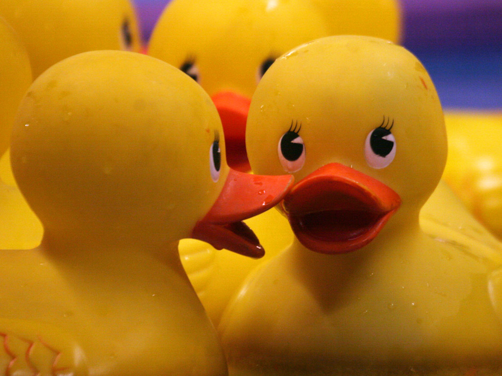 some rubber ducks sitting in water together