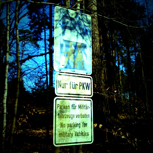 an image of a street sign in the middle of a forest