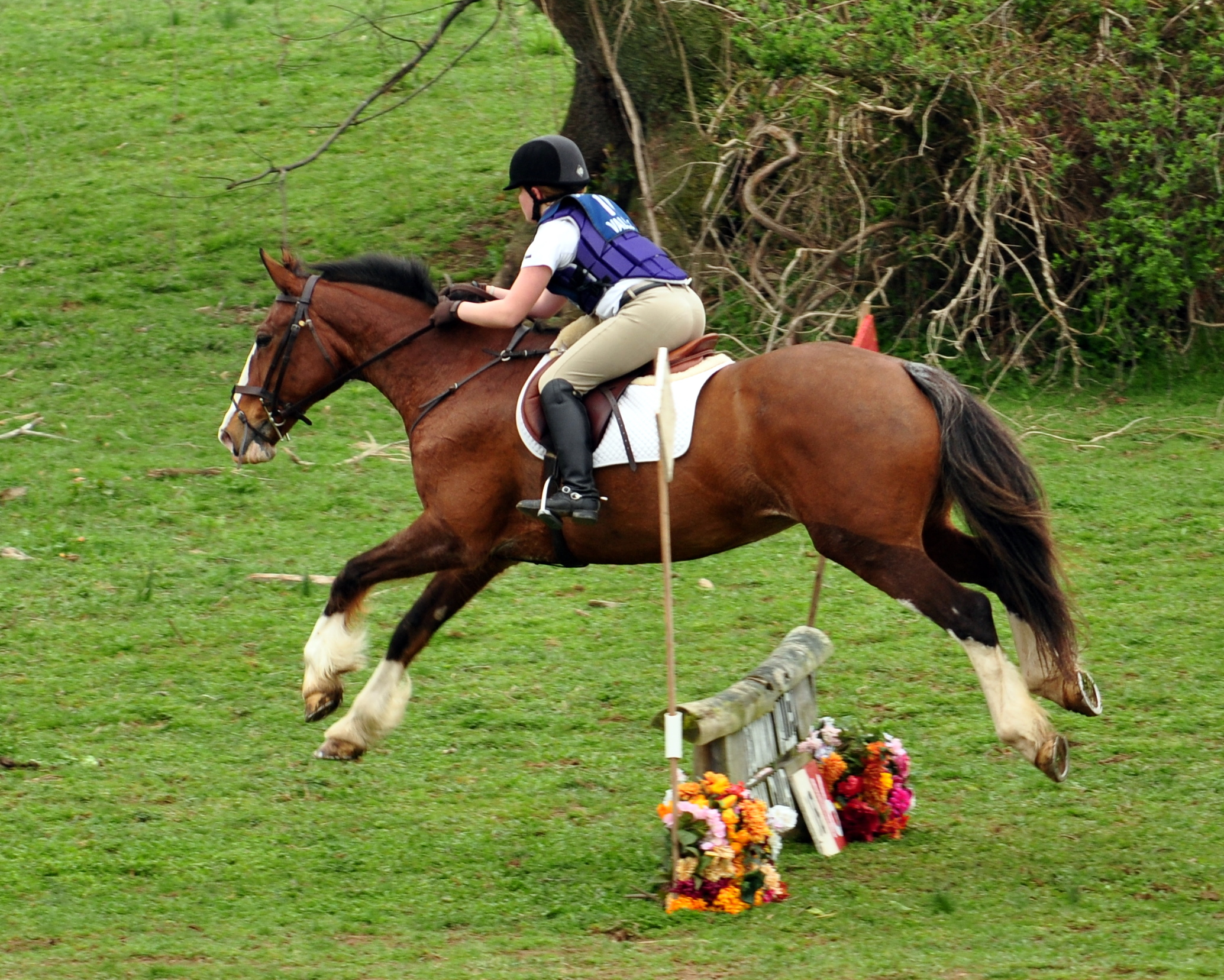 a person in a helmet jumping a horse over obstacles