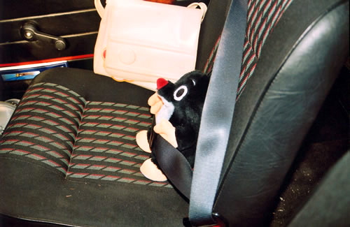 a stuffed animal and some other things in a car