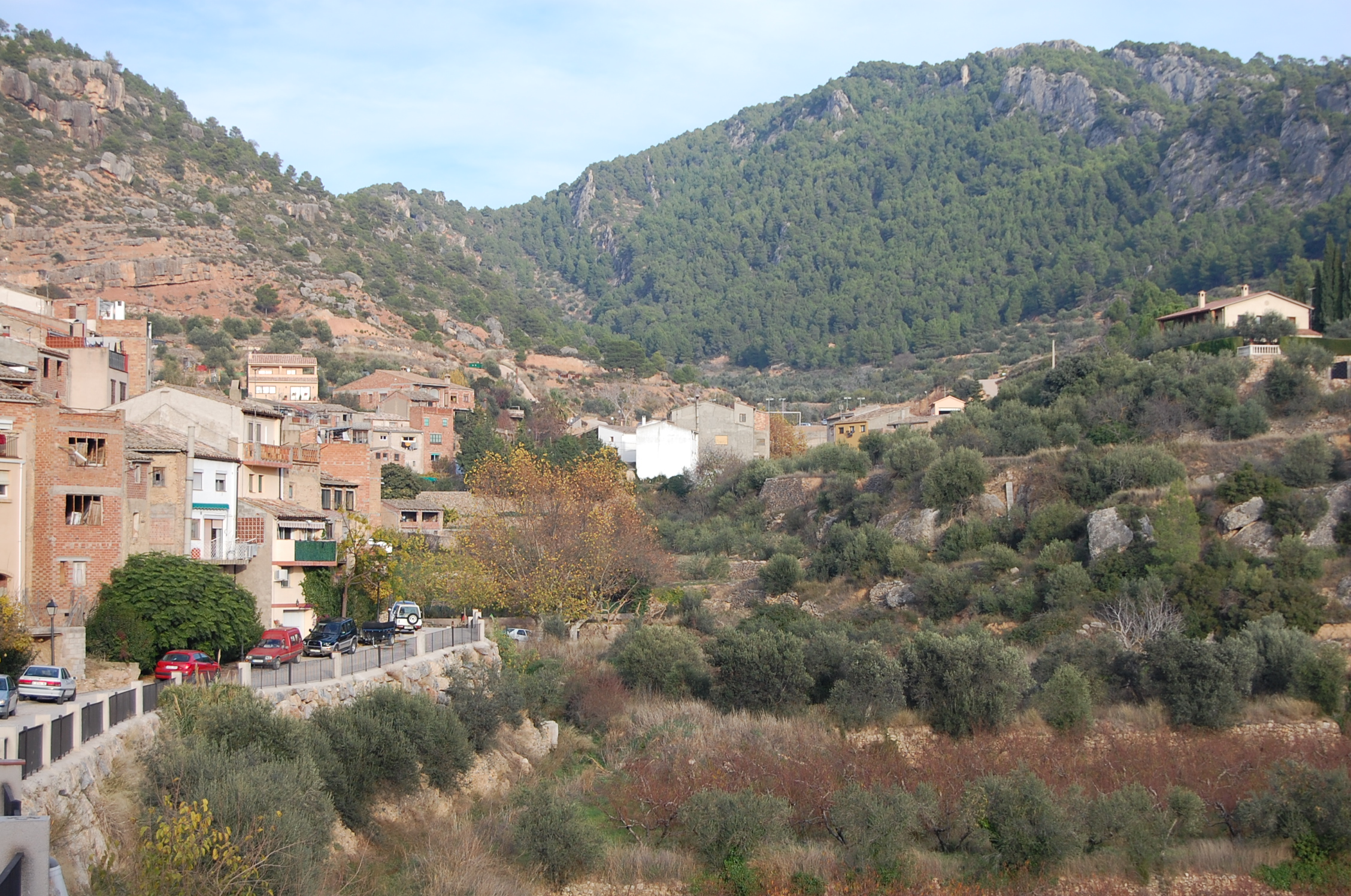 houses built into a hillside with many trees