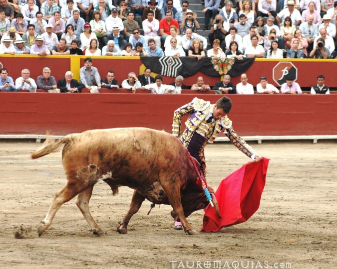 a man in traditional clothes attempting to take down a bull