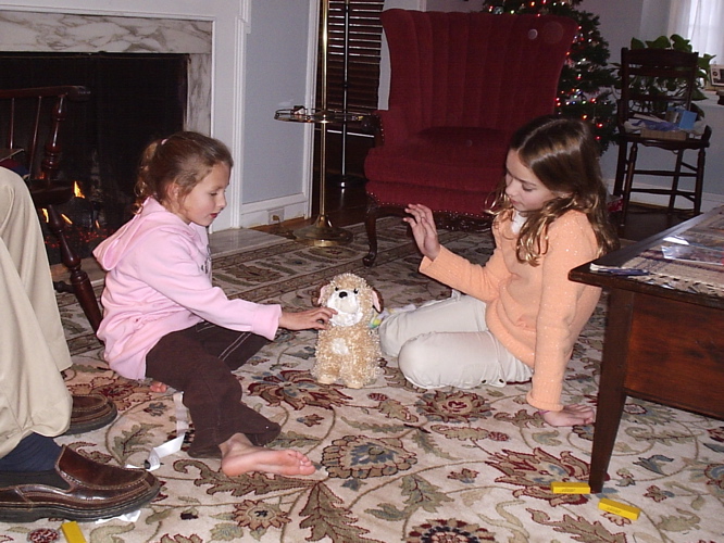 a little girl kneeling down to a stuffed animal dog
