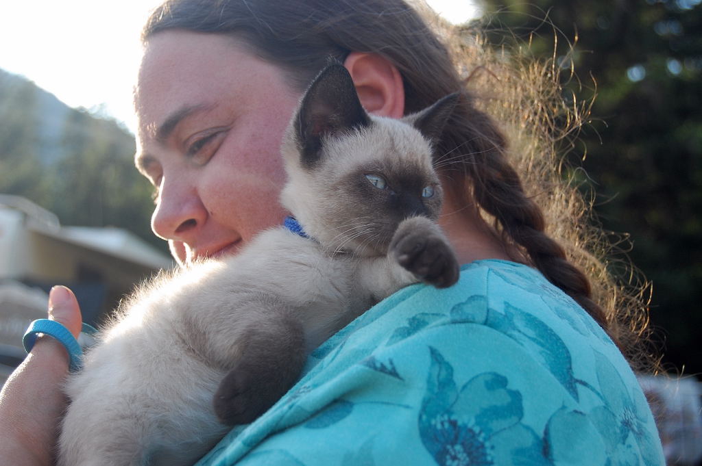 a woman holds a siamese cat while looking at it