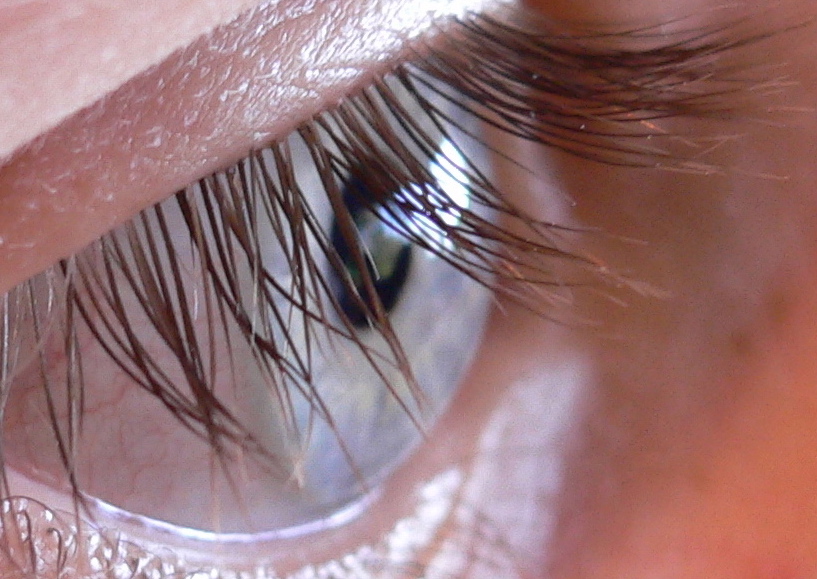 the close up view of a persons eyelashes