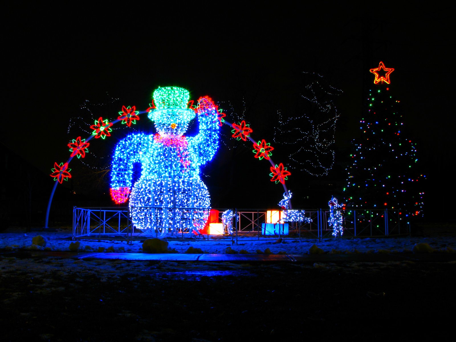 a very brightly lit mickey and pluto display