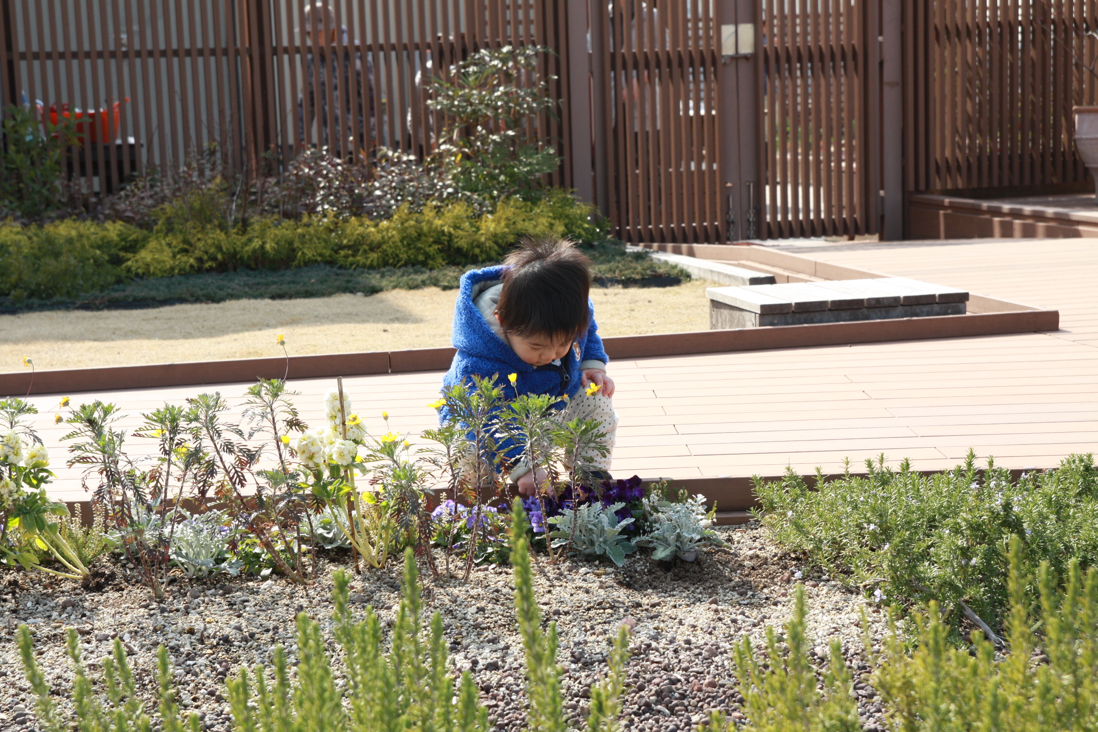 there is a child digging in the garden