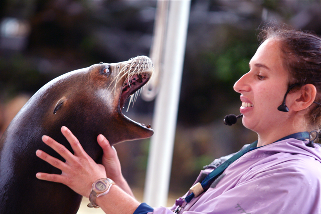 a woman in blue shirt holding up a sea lion