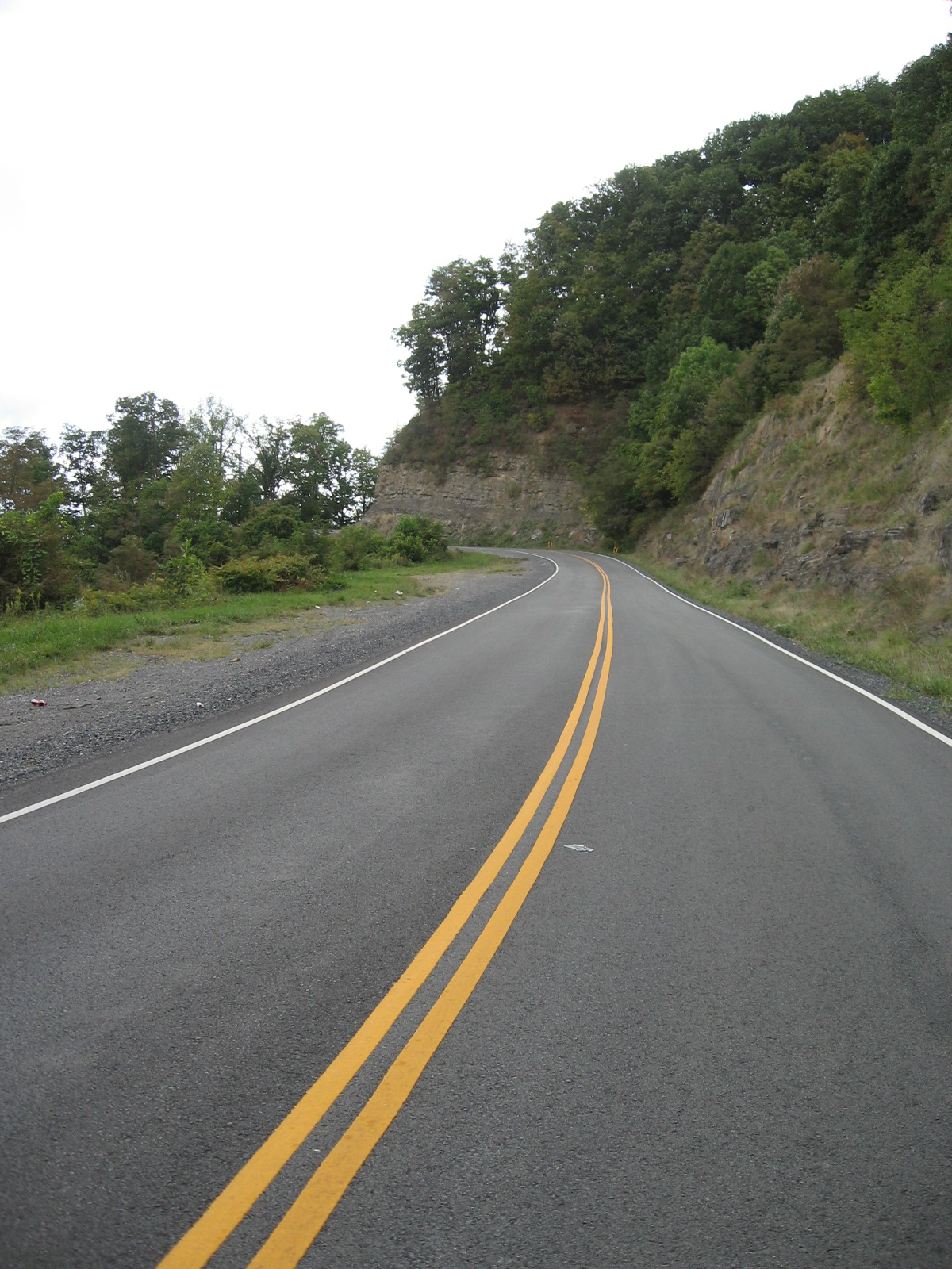 the view down the road looking toward the trees