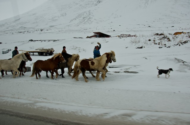 people ride horses down the snow covered street