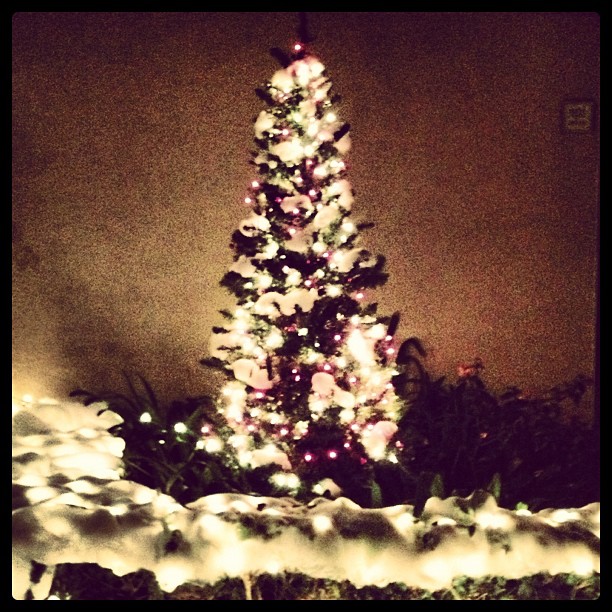 a decorated christmas tree sitting in front of some lights