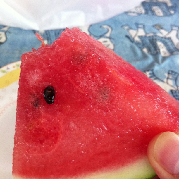 a slice of watermelon on a plate